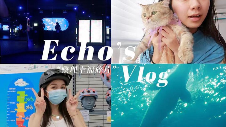【echo】Weekend Project | September Happy Diary VLOG
