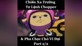 Vua Hải Tặc skillanime anime onepiece chopper usopp xuhuong