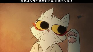 猫爷这无处不在的表情包实在太可爱了