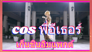 เก็นชินอิมแพกต์ cos พี่อีเธอร์