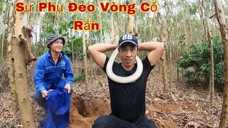 Cuộc Truy Tìm Rắn Hổ Mang Đột Biết Quý Hiếm Cùng Sư Phụ|Team Săn Bắt Ẩm Thực Vùng Cao