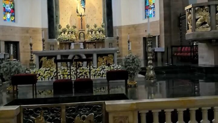 生活平平淡淡才是真，知足感恩，把每一天都过成喜欢的样子！