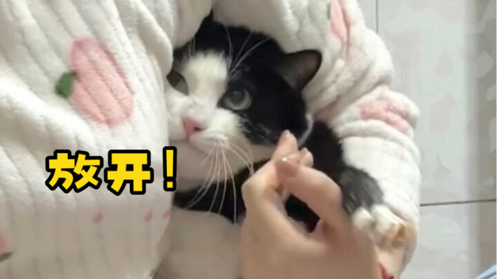 Cute for three years, no one cared—but one embarrassing moment and the whole world knows! Family sha