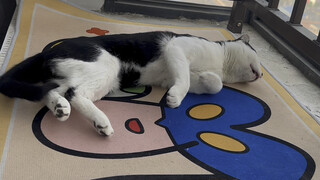 All this exercise is done while sleeping.