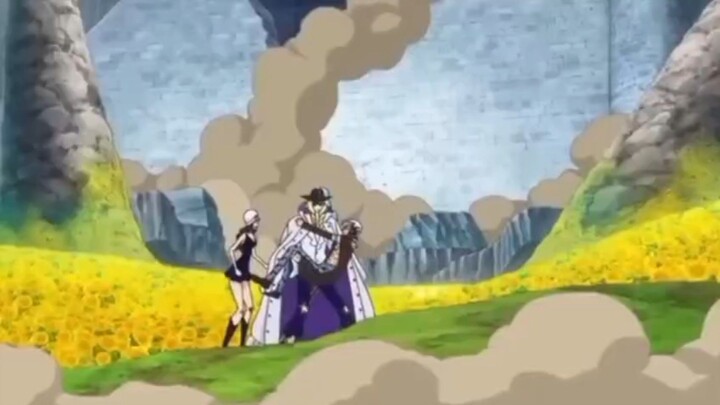 robin bertemu dengan shizuka