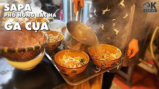 Phở Hồng Gà Chọi Đặc Sản Bắc Hà | Hà Còi