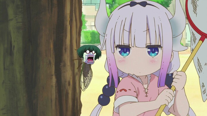 The cicadas are calling, Connor eats [the source of all evil]