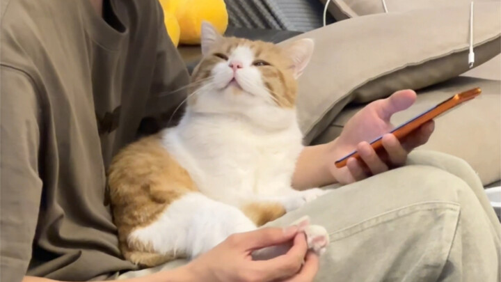 Thì ra đây chính là ánh mắt kéo sợi!