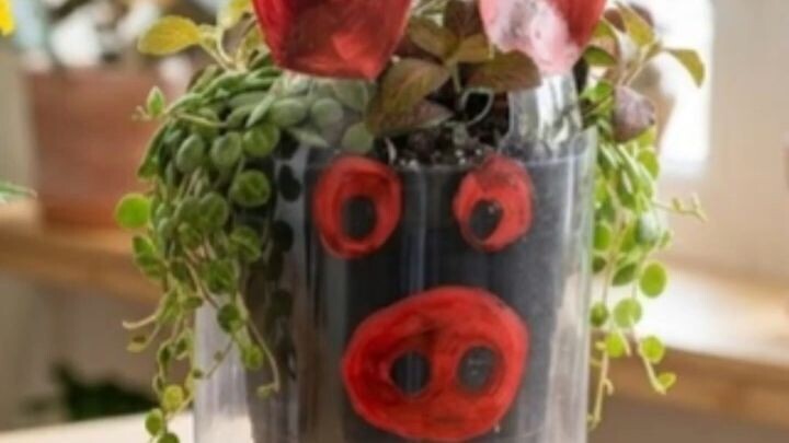 Macetas con Botellas de Plástico: Reciclaje Creativo para tu Hogar 🐰🌱