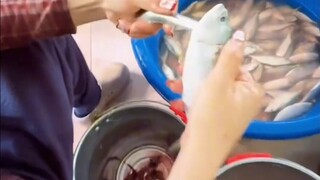 Teknik membunuh ikan ini sungguh tak tertandingi!