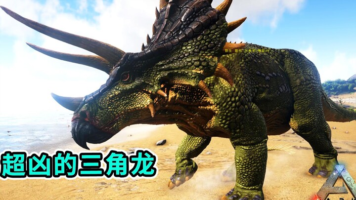 ARK: Survival Evolved: Triceratops! Sangat ganas, pelindung pemula sejati, mampu menandingi Tyrannos