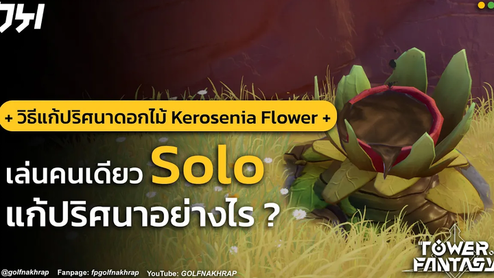 TIPS & TRICKS วิธีแก้ปริศนาดอกไม้ Kerosenia Flower Tower of Fantasy