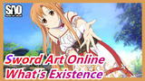 [Sword Art Online / Epic / 1080P] What's Existence? What's Bonds?