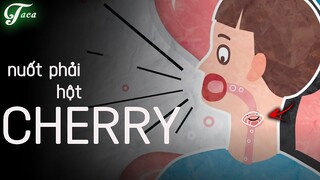 Điều Gì Xảy Ra Nếu Bạn Nuốt Phải Hột Cherry ?