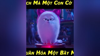 Cờ Hó Này Cũng Khôn Phết 😍 phim phimhay phimhaymoinhat phimtrungquoc phimhoathinh