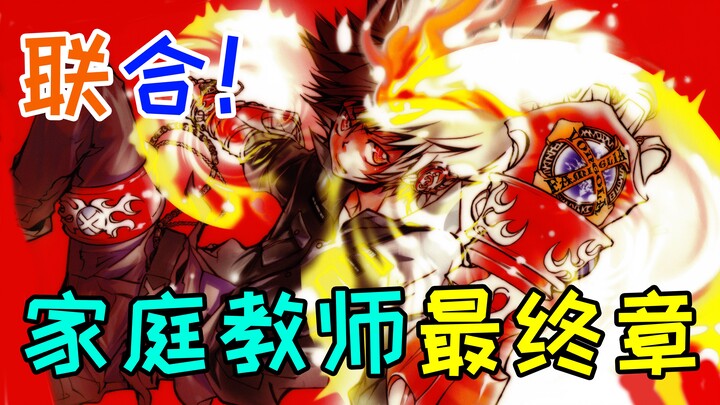 【梦祈】联合！纲和骸超强组合对刚复仇者 复仇者的真实面目！ 家庭教师漫画解说 第三十三期