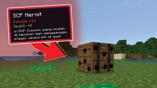 Penjelasan Tentang SCP Yang Ada di MINECRAFT!! (#1)