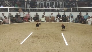 2nd fight win