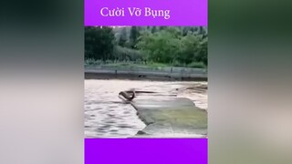 toptrending funny hàihước onhavanvui cười