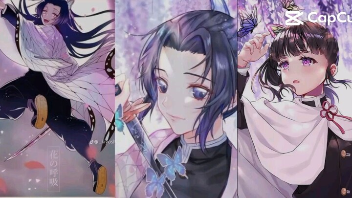 3 chị em nhà Kochou l Kamado Nezuko