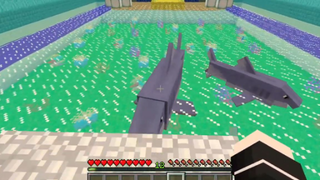 Sammy Thử Thách 24H Trở Thành NỮ HOÀNG CÁ MẬP Trong Minecraft