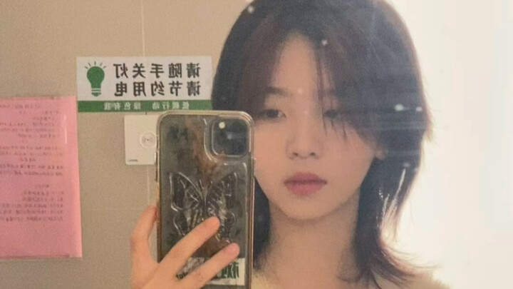 欢迎收看椰树普通的日常碎片