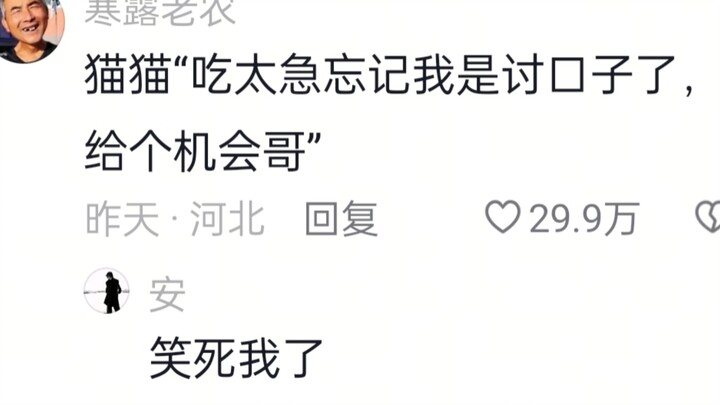 Penilaian suara asli kucing berubah wajah!