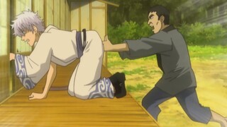 Gintama Ngàn năm giết chóc, nổ tung hoa cúc