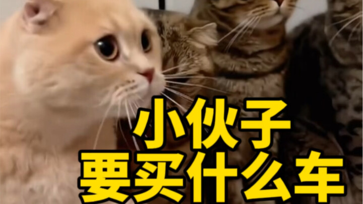 When a young man walks into a motorcycle shop.