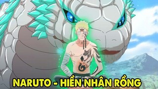 [ Hỏi Đáp #3 ] | Nếu Naruto Học Hiền Nhân Rồng Của Orochimaru, Bí Mật Đằng Sau Akatsuki