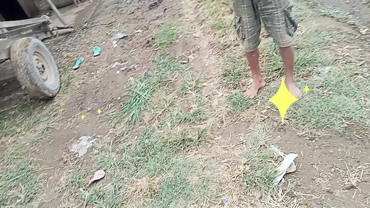 rambol
