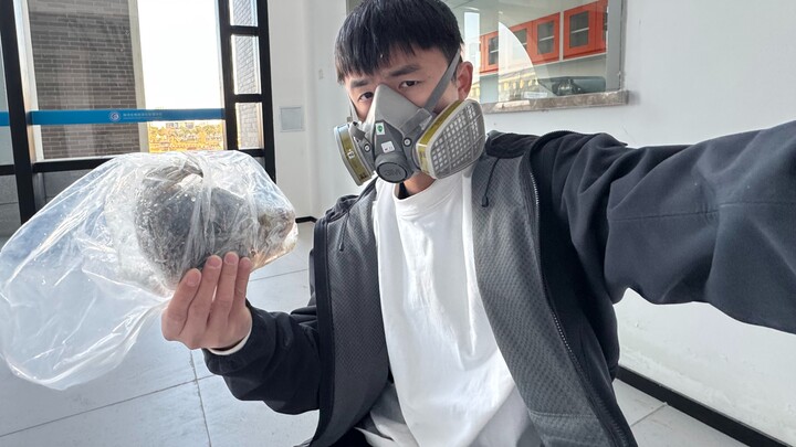 Thí nghiệm tự làm cá mè thối