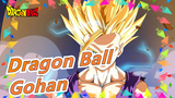 [Dragon Ball] Gohan Masa Depan - Pahlawan Tragis yang Putus Asa