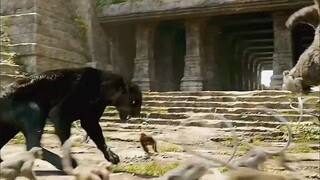 Makhluk raksasa ini bisa dibilang memiliki kekuatan tempur terkuat dalam film, bahkan harimau pun ti