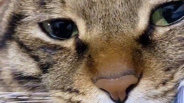 Me, Who’s Starting School Tomorrow