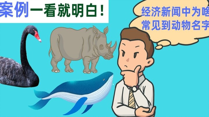 Black swan, gray rhino, London whale, what do common animal terms in economics mean? A few examples 