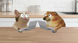 当你和兄弟准备双排时，你们的表现