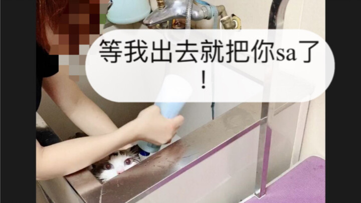 Bathing with a Yo-Yo While Snuggling the Cat