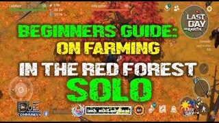 "SECTOR 07" RED FOREST | FARMING OAK-SOLO | BEGINNER'S GUIDE - Last Day On Earth: Survival