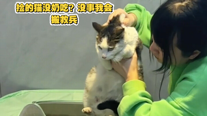 Đằng nào cũng ở cữ, chi bằng đến nhà tôi ngồi thêm một đôi đũa (Mẹ ơi, đã lâu lắm rồi tôi chưa được 