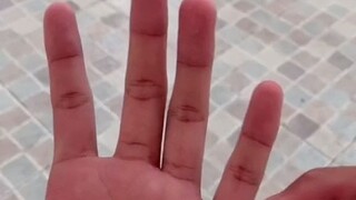 一览无余