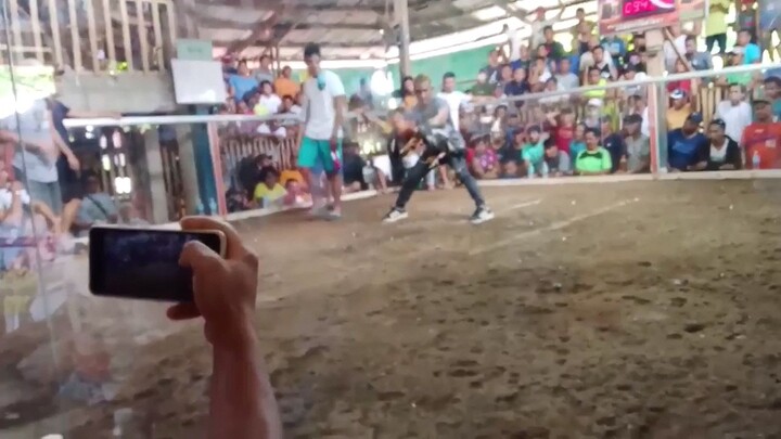 2 wins lagonglong cockpit