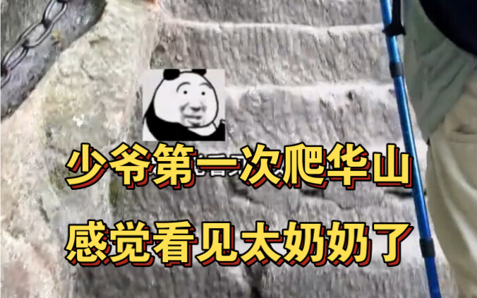 The young master climbs Mount Hua for the first time—he’s about to keel over!!!