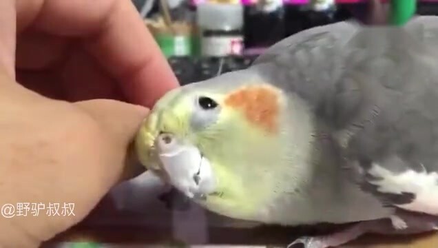 You’ll be held responsible for touching my head
