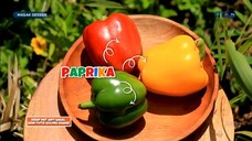 Masak Gesss!!! MDTV - 18 Juli 2025