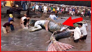 น่าเหลือเชื่อ นางเงือกมีจริงหรือไม่กับตำนานปริศนา - Is Mermaids Exist in Real World