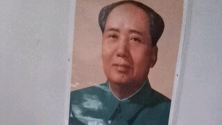 这是奶奶的“爱豆”请你们认识一下