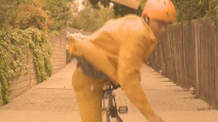 Drawing Little Expert