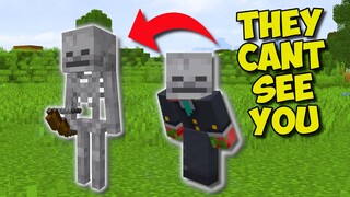 30 Features You DIDN'T Know In Minecraft...