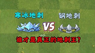 新地刺vs旧地刺，谁才是真正的地刺王？